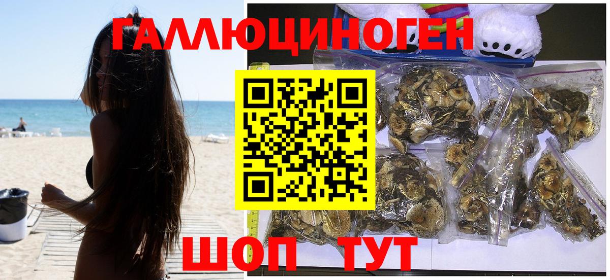 Галлюциногенные грибы Psilocybe  Вход с VPN  Псилоцибиновые грибы Psilocybine cubensis  Воронеж 